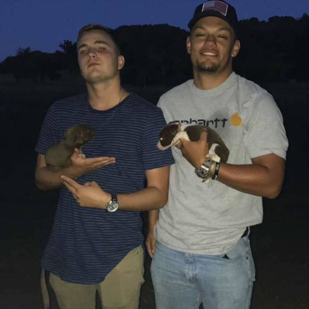 Meet your Posher, Stone